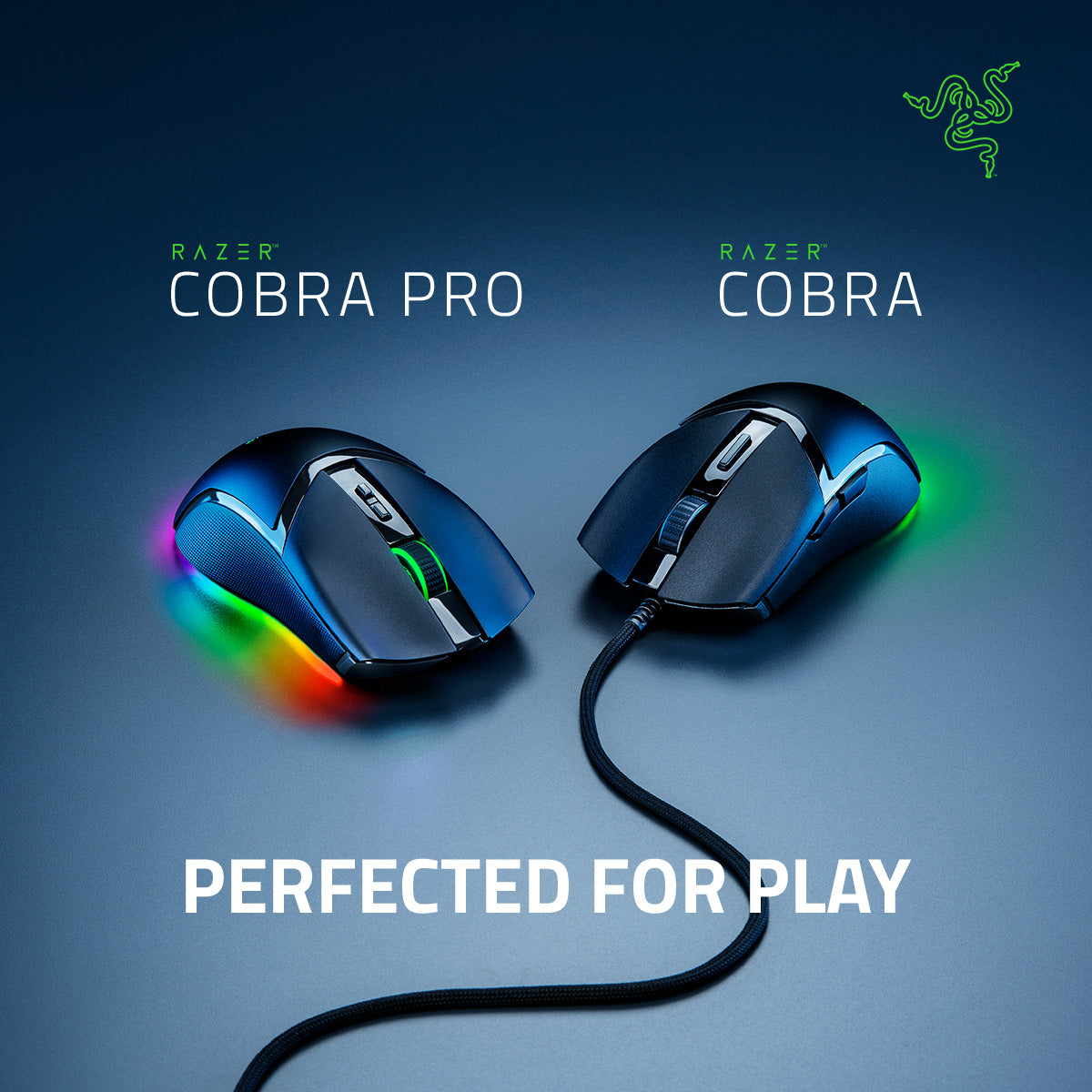 Razer Cobra Pro Wireless Gaming Mouse